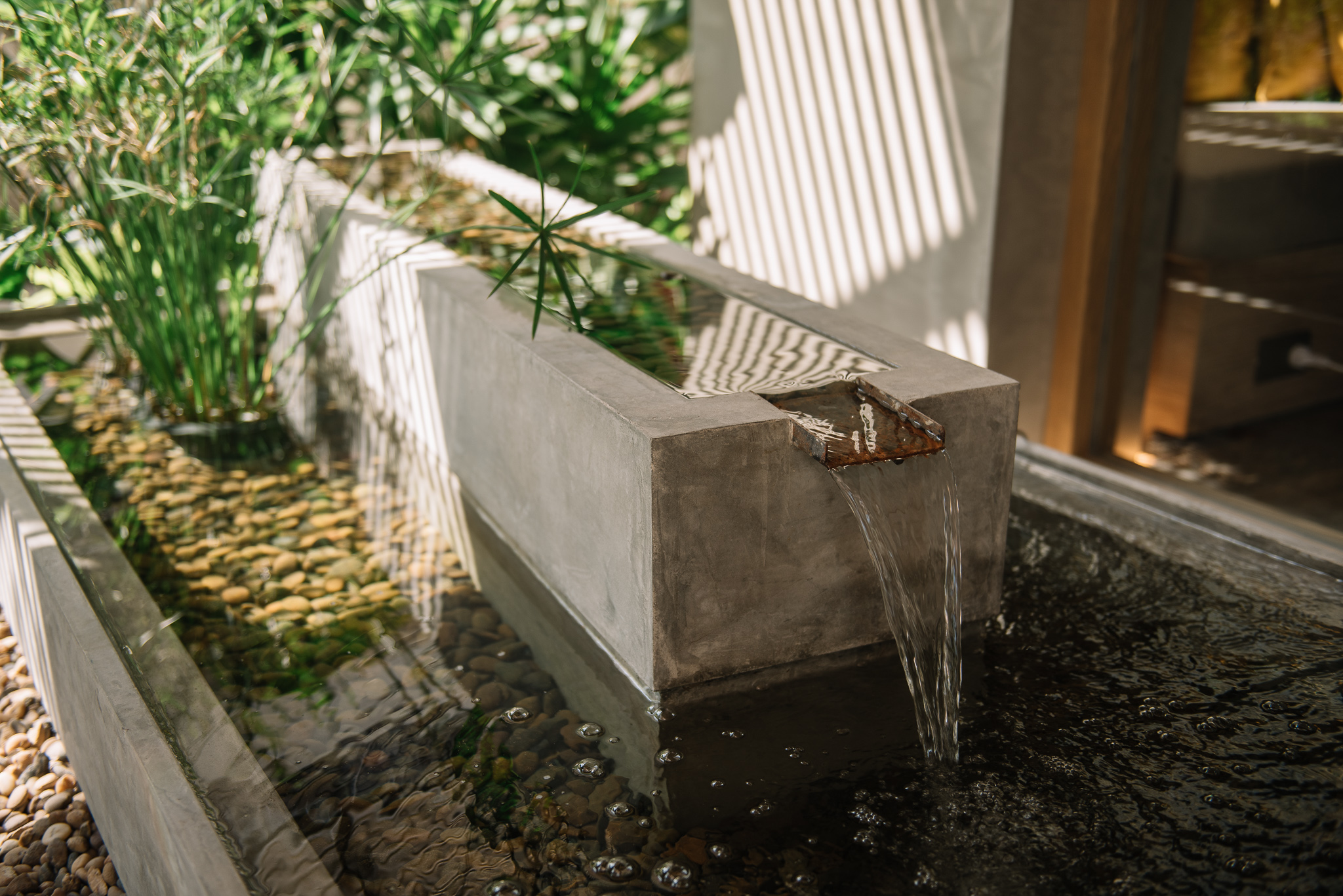 Concrete water feature detail among tropical planting